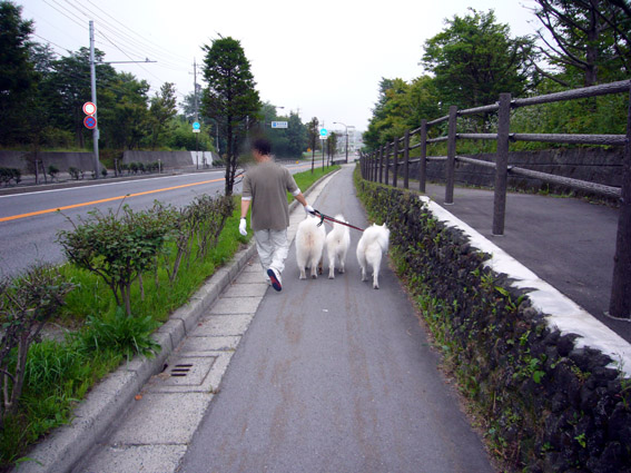 c0035838_11262396.jpg