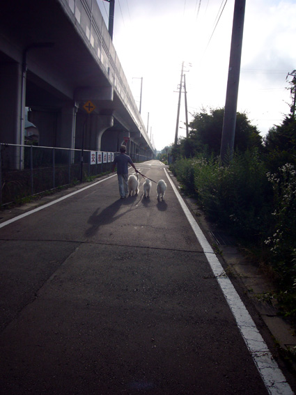 c0035838_1164471.jpg