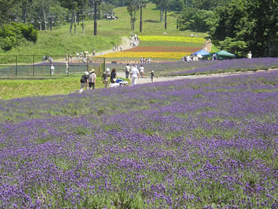 c0059244_2152390.jpg
