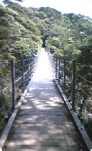 f0096147_16401831.jpg