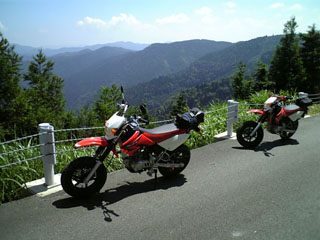 a0052952_1755572.jpg