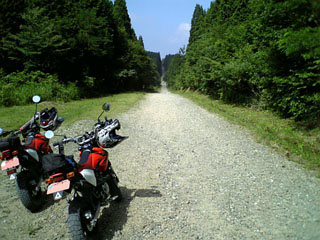 a0052952_17573043.jpg
