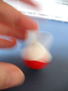 c0003752_1726469.jpg