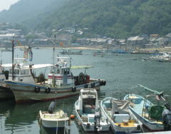 d0031853_153541.jpg