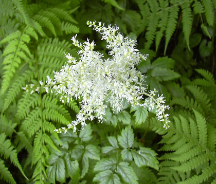 a0001354_19232030.jpg