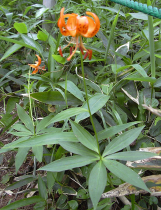 a0001354_19272073.jpg