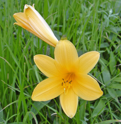 a0001354_19293357.jpg