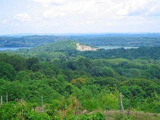 a0040554_9395391.jpg