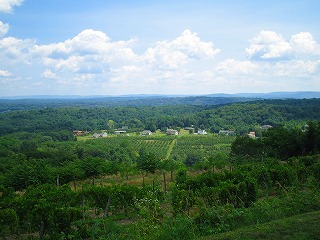 a0040554_9533048.jpg