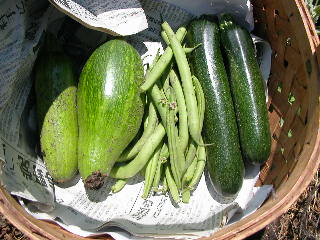 e0004756_2153588.jpg