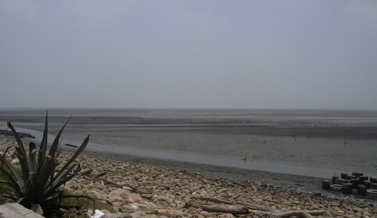 e0072757_2253012.jpg