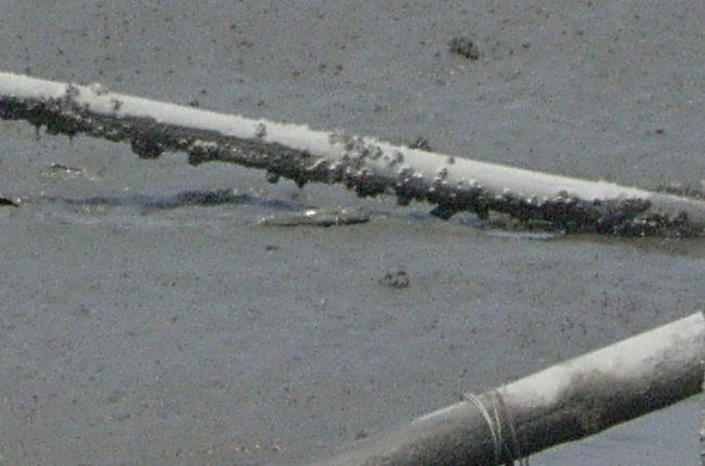 e0072757_237157.jpg