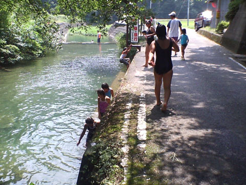 d0058958_12255025.jpg