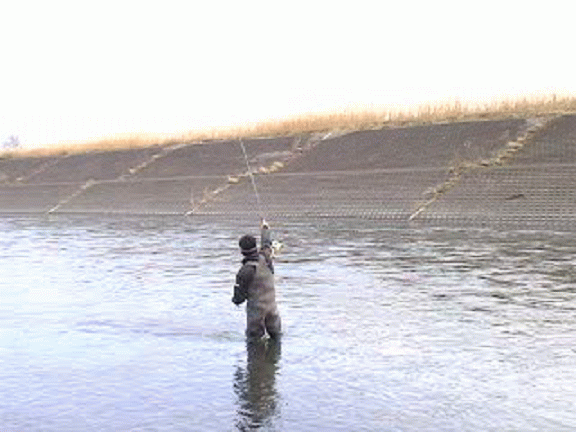 f0084561_1522384.gif