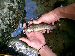 f0089285_22245619.jpg