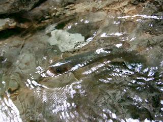 f0089285_22442057.jpg