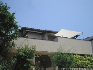 b0007893_1541123.jpg
