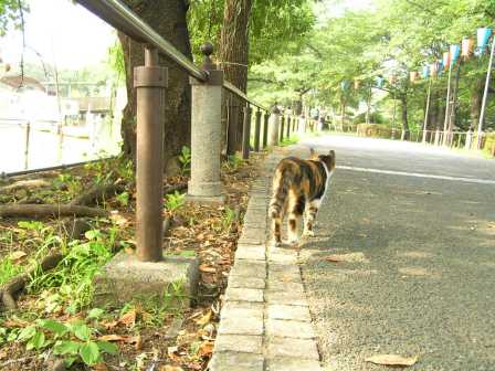 c0034595_0211460.jpg