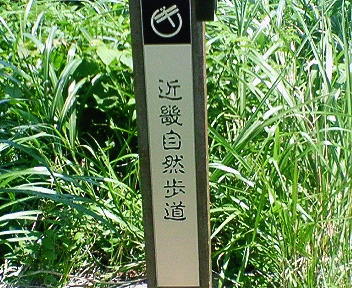 b0075797_445653.jpg
