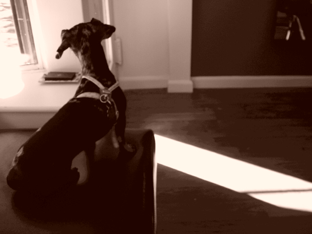 c0037103_1242285.jpg