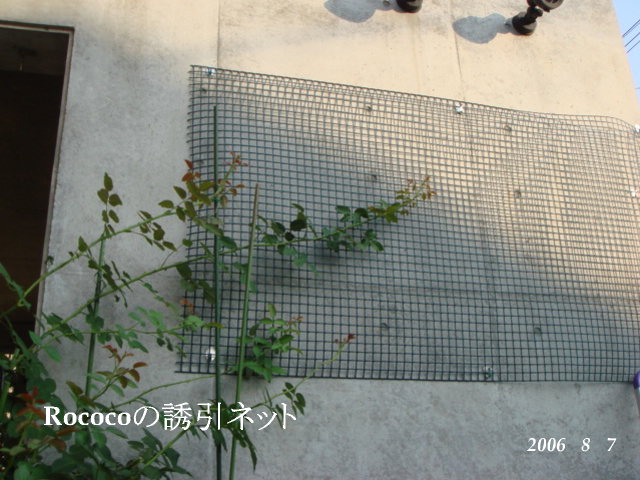 f0057006_154692.jpg