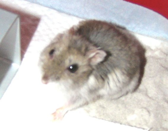 c0032408_23492317.jpg