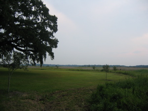 f0102814_10401970.jpg