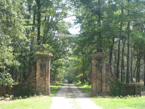 f0102814_932919.jpg