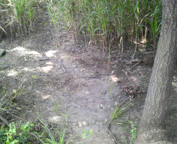 a0077616_9303556.jpg