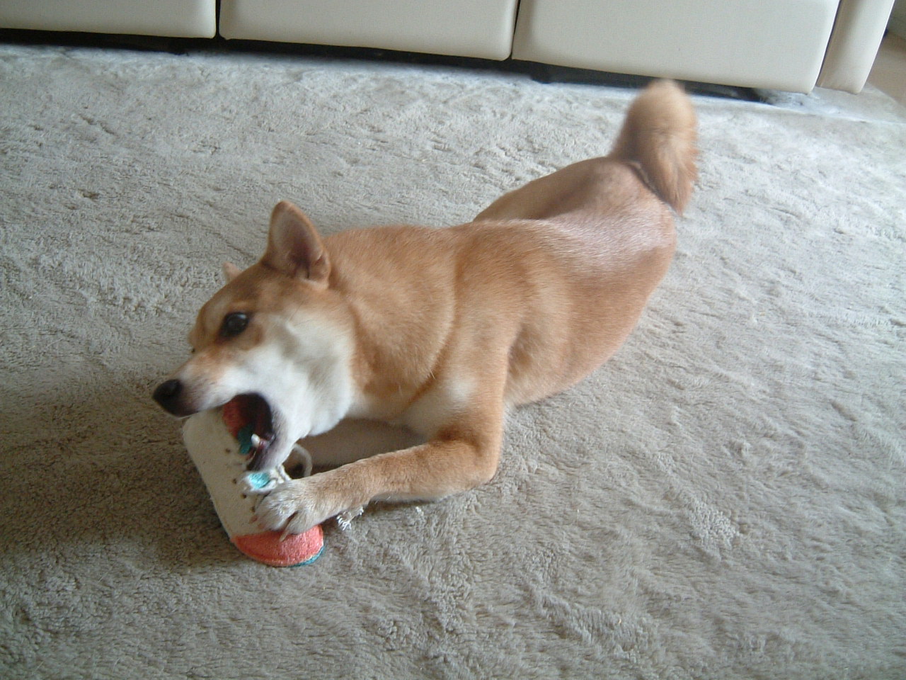 e0053732_13114324.jpg