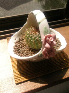 c0052035_11445058.jpg