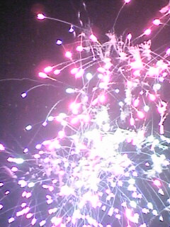 d0065936_19322928.jpg