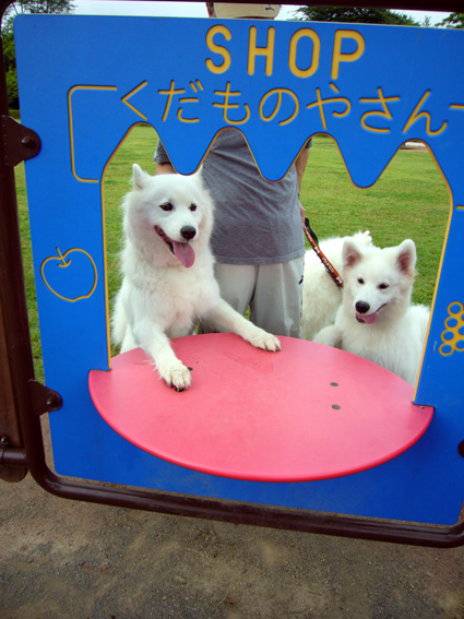 c0035838_18331535.jpg