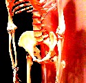 b0007139_1817938.jpg