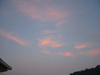 f0050241_10233116.jpg