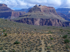 b0020843_1922516.jpg