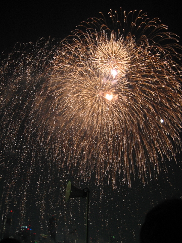 c0049143_17212081.jpg