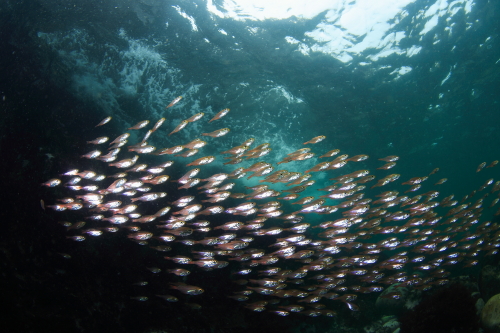 d0021952_22585748.jpg