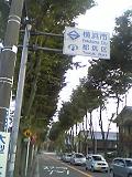 a0055362_23543124.jpg