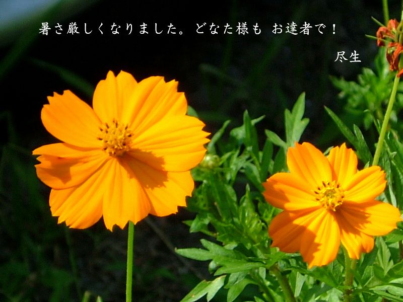 a0009666_18151266.jpg