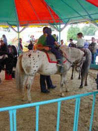 f0032969_2324510.jpg