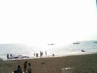 f0070581_15295549.jpg