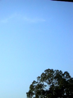 b0073782_13541738.jpg