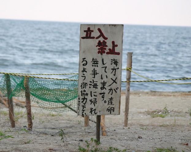 a0037298_19121619.jpg