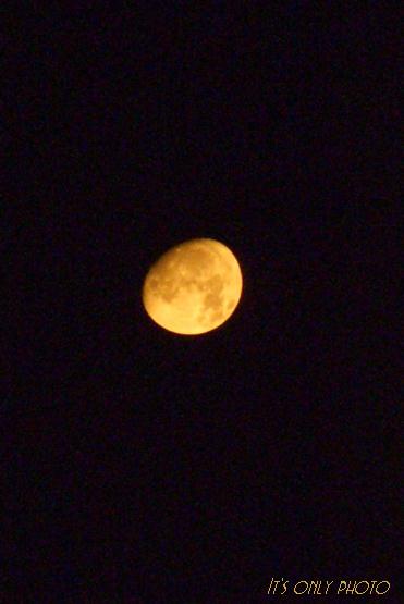 e0008800_16272917.jpg
