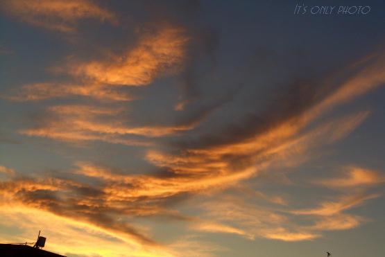 e0008800_16282072.jpg