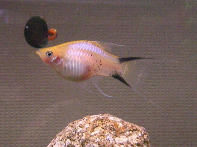 e0010301_1402250.jpg