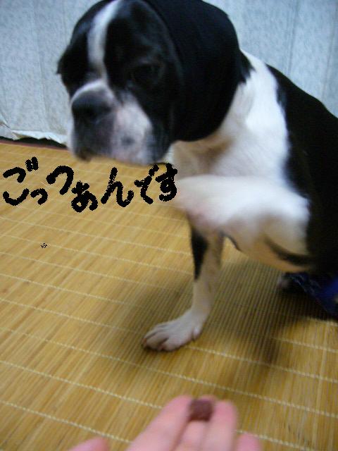 d0070702_21185261.jpg