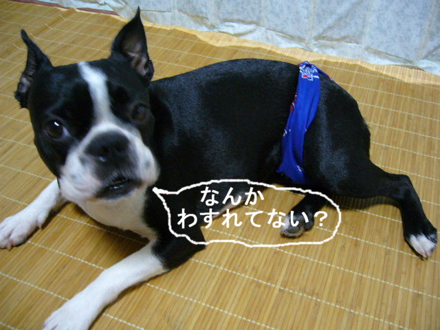 d0070702_2194633.jpg