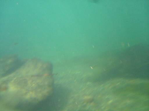 f0034007_2162522.jpg